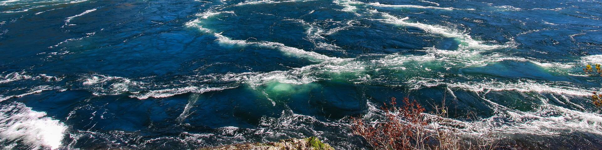 A river with white water rapids, surrounded by forested mountains and clear blue skies.