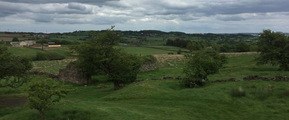 A rural landscape with rolling hills, scattered trees, and stone walls.