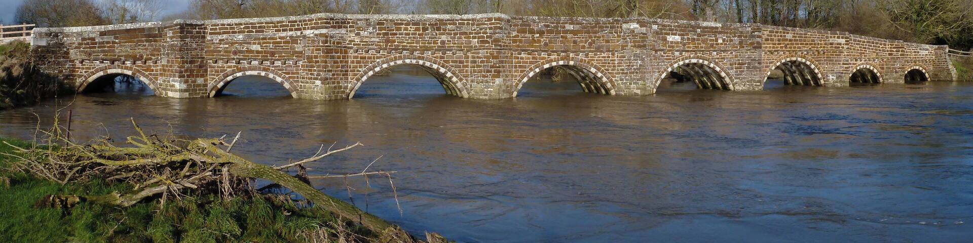 Bridge over the Stour at White Mill - Floodtime!
