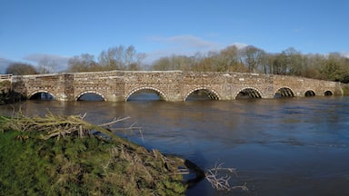 Bridge over the Stour at White Mill - Floodtime!