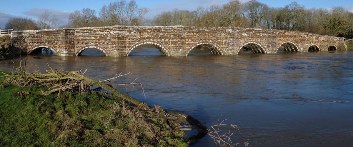 A stone bridge over a river with grassy banks and trees in the background.
