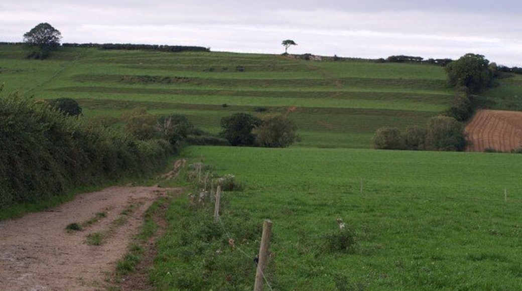 Strip Lynchets on the steep south-facing oolite slope of West Chinnock Hill. Seen from footpath Y11/8, here followed by both the Monarch's Way and the Liberty Trail.