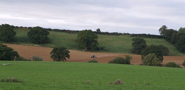 Farmland near West Chinnock. A tractor works on a field on the slopes of West Chinnock Hill, just east of the lynchets seen in 541853; doubtless they would have continued across this slope, but have been removed. Out of sight in the dip, following the line of trees, is Broad River. Seen from footpath Y11/8, here followed by both the Monarch's Way and the Liberty Trail.