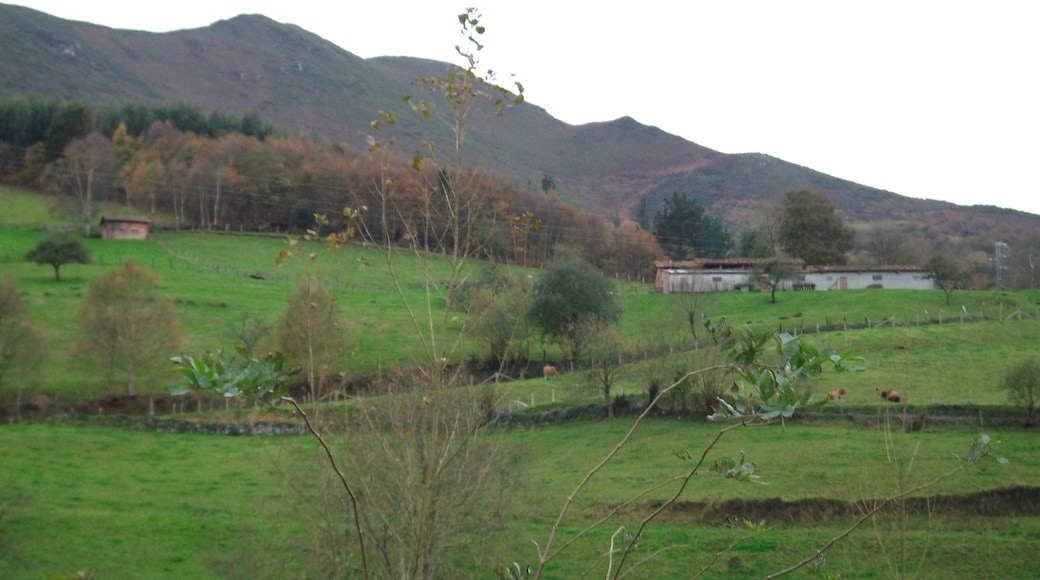 Cuesta de Bodes en Llames de Parres , Asturias.