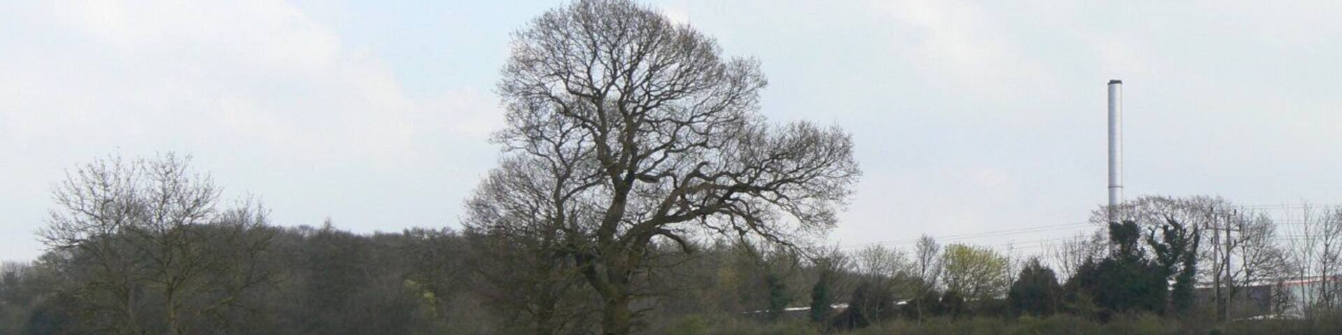 Fields near Codnor Gate Visible to the right is the chimney of the local flooring materials factory. The woodland in the background has grown up on the spoil heap of the former Butterley Park No.5 colliery.