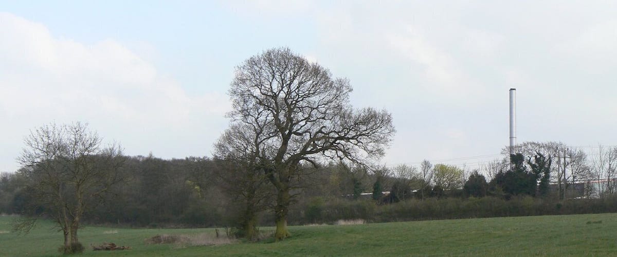 A grassy field with a large leafless tree and a tall chimney in the background.