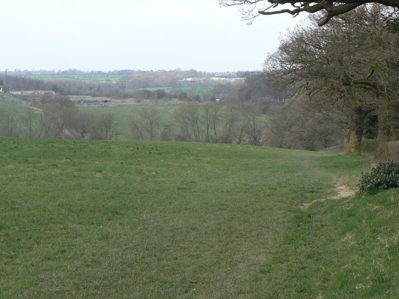Path down to Golden Valley This shows up on the earliest OS maps as a track, and would doubtless have been used by the local colliers.