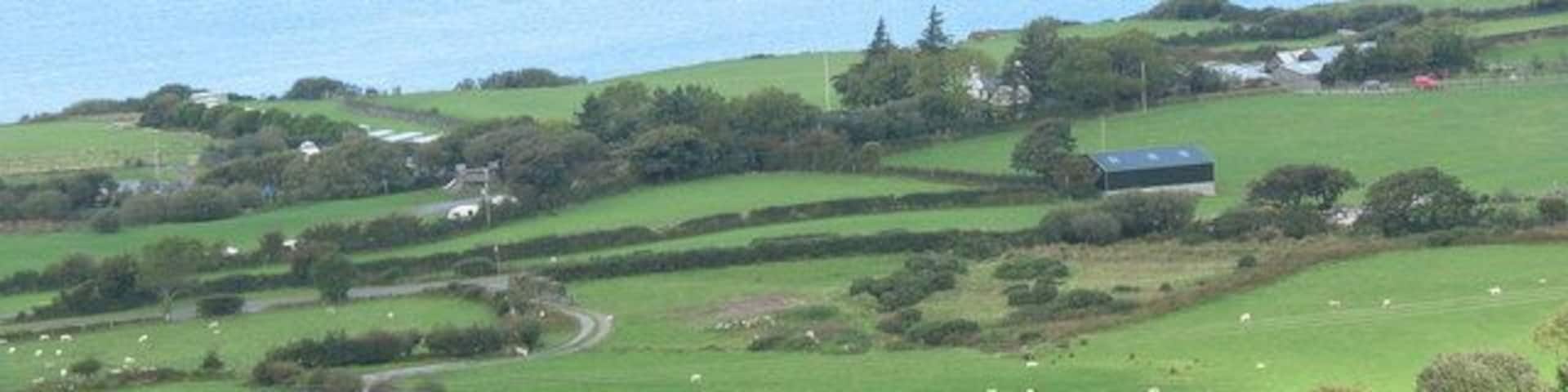 Parsal from Gyrn Ddu Quarry.