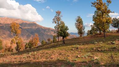 Yellow autumn forest, spring lake and yellow grass in the meadow, beautiful sunlight on the mountain in the middle of the forest, blue sky and clouds, Spring in Africa Algeria Mila National Park.