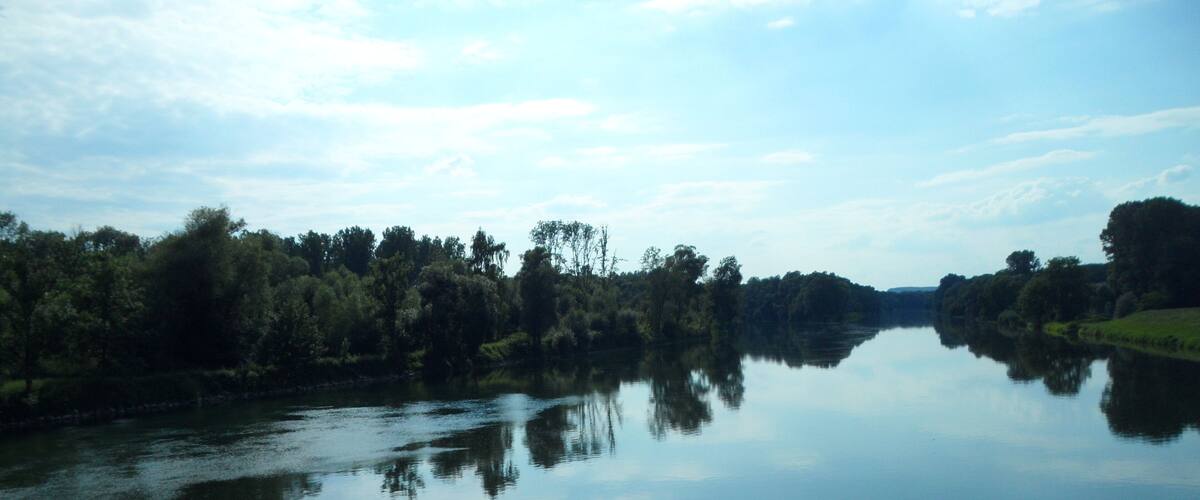 A calm river with trees reflecting on the water, surrounded by greenery.