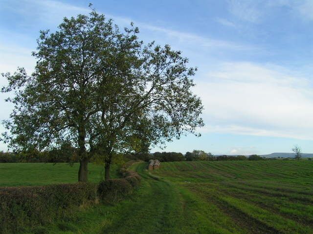 Footpath near Danby Wiske An attractive approach to Danby Wiske village on the alternative route of the Coast-to-Coast path (right on the southern edge of the square).