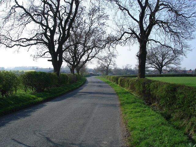 The approach to East Cowton Taken looking NW on the road from Birkby.