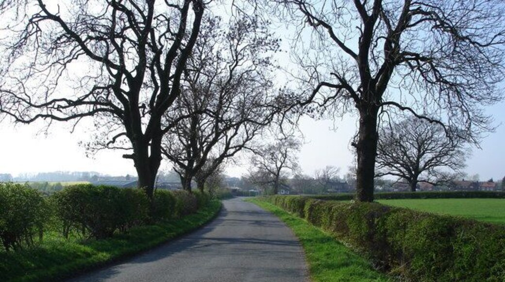 The approach to East Cowton Taken looking NW on the road from Birkby.