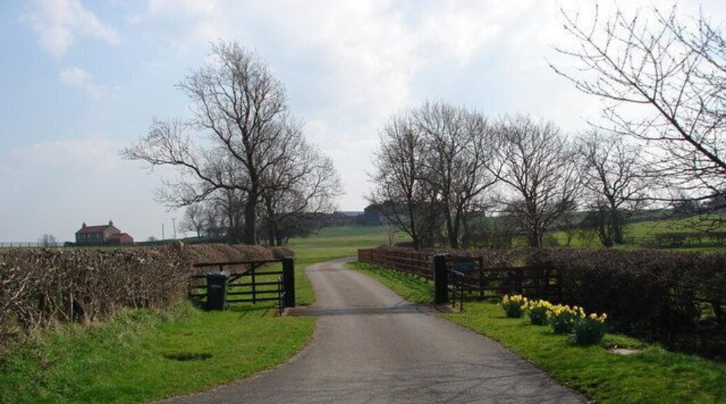 Entrance to Stripe House Farm The entrance gate to Stripe House Farm, south of East Cowton.