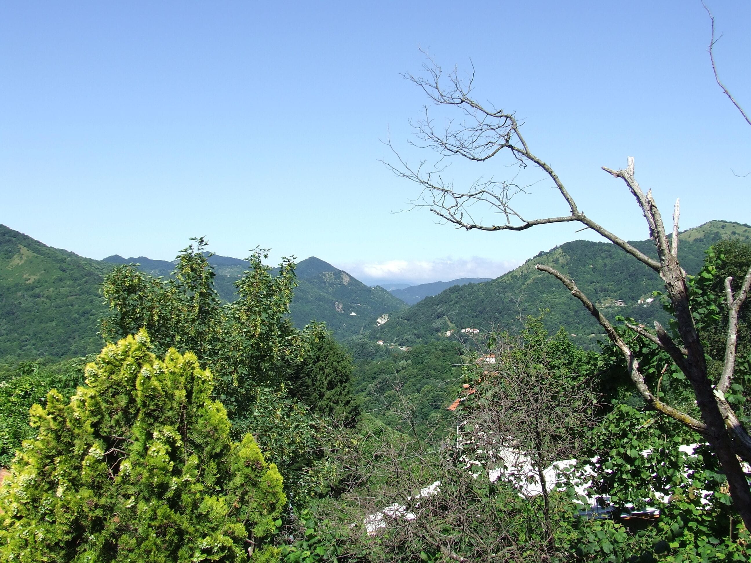 Torriglia fraz. Cavorsi