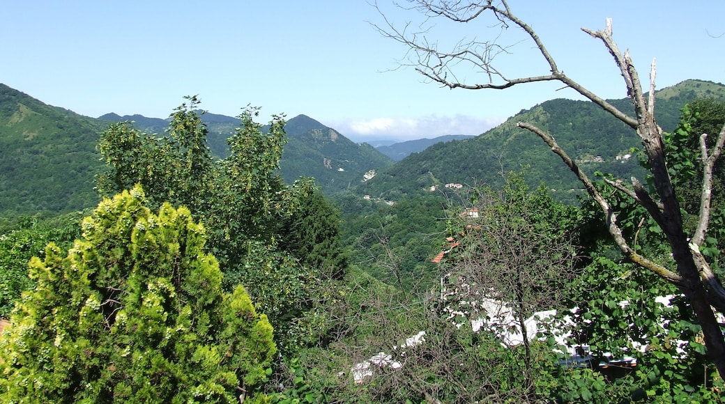 Torriglia fraz. Cavorsi