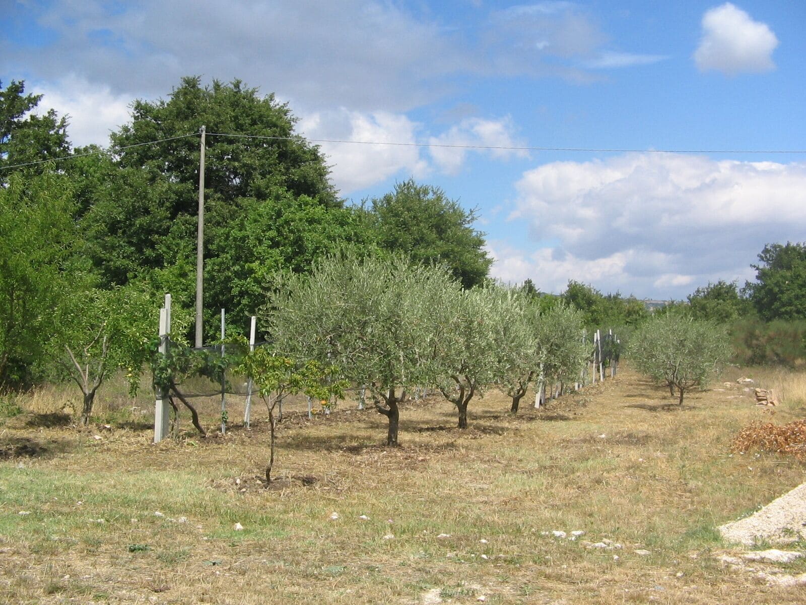 82020 Fragneto l'Abate, Province of Benevento, Italy