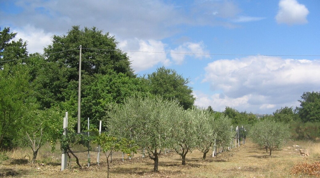 82020 Fragneto l'Abate, Province of Benevento, Italy