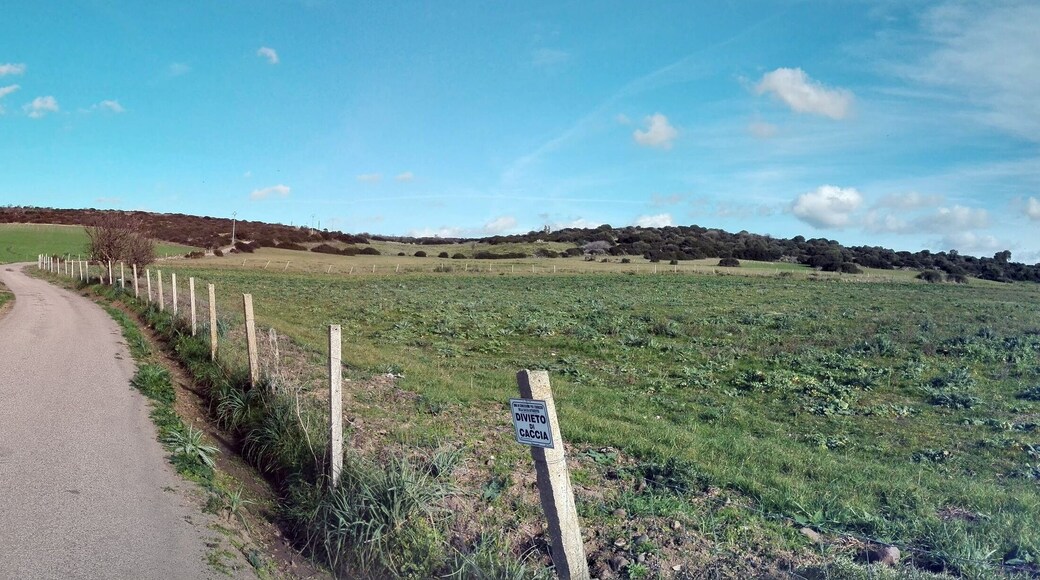 panoramica campagne Mogoro