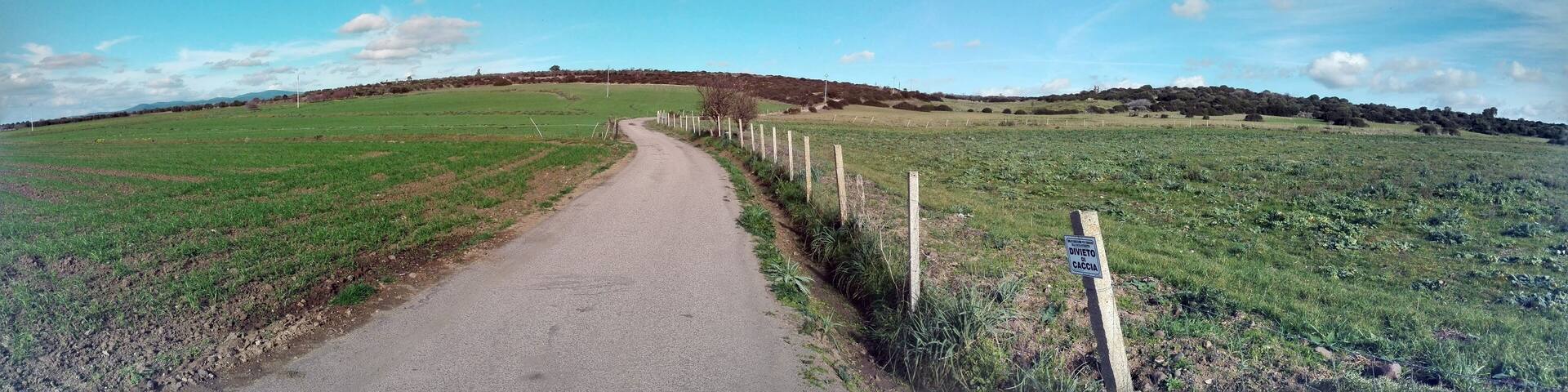 panoramica campagne Mogoro