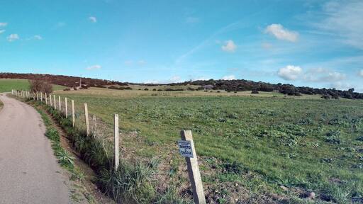 panoramica campagne Mogoro