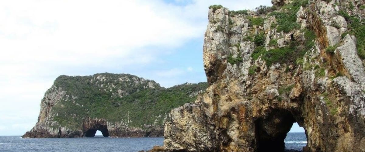 Snorkeling trip to Poor Knight's Island off the coast of North Island in New Zealand.