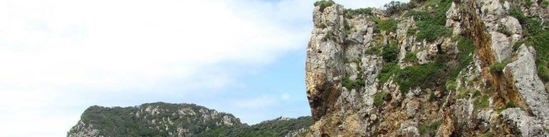 Snorkeling trip to Poor Knight's Island off the coast of North Island in New Zealand.
