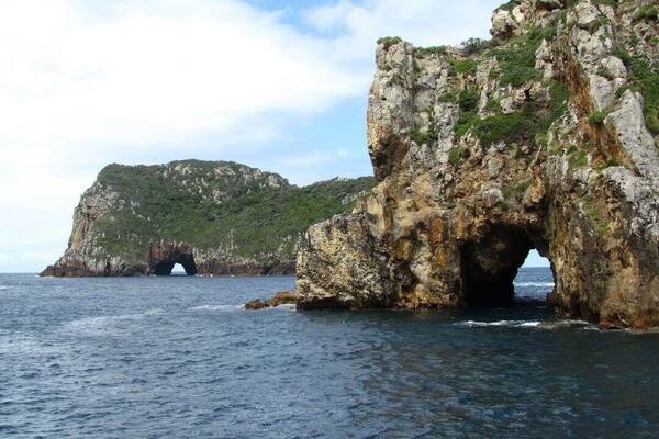 Snorkeling trip to Poor Knight's Island off the coast of North Island in New Zealand.