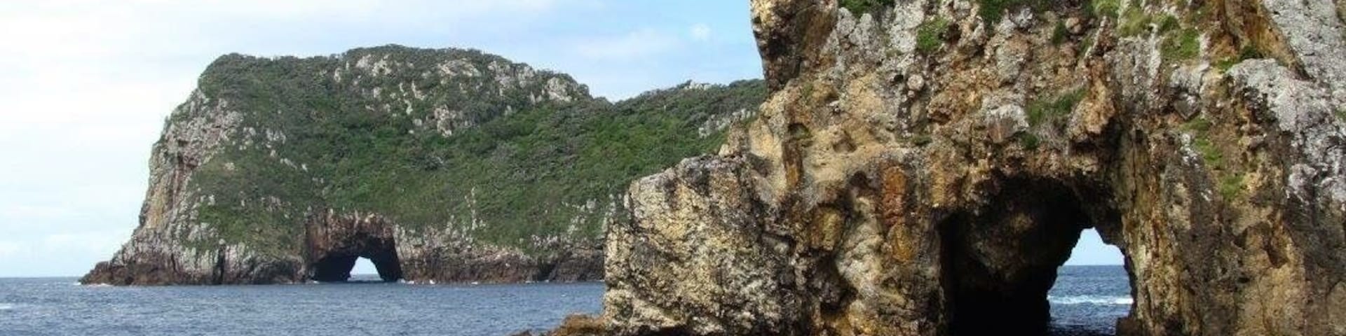 Snorkeling trip to Poor Knight's Island off the coast of North Island in New Zealand.