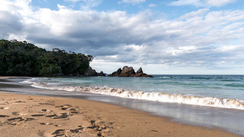 A beach with waves, a rocky outcrop, and a forested cliff.