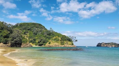 Matapouri beach is a long stretch of sand with clear turquoise water. Walk along the beach to the end then into the water to walk around a rocky outcropping to reach the last bit of beach. From there itâs a 20 minute walk up and over a hill to reach the Mermaid Pools. Deep blue tide pools that you can swim in, worth the extra work to get there.