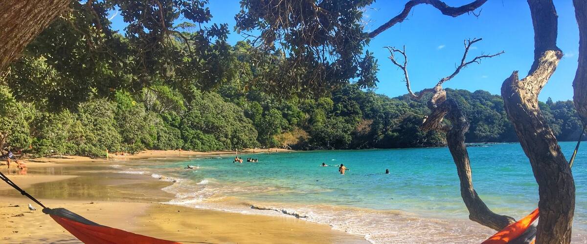 Want to set up your hammock here? Head up to Whale Bay, just outside of Whangarei, Northern NZ. Just a short hike down from the car park and this stunning beach with calm waters is all yours. 
#whalebay #whangarei #newzealand #northisland #hiddengems #explore #travel