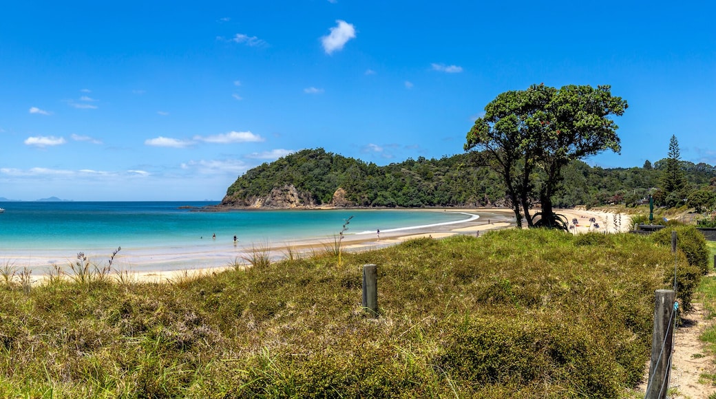 Beautiful wide angle view of Matapouri Beach on the North Island of New Zealand.