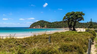 Beautiful wide angle view of Matapouri Beach on the North Island of New Zealand.