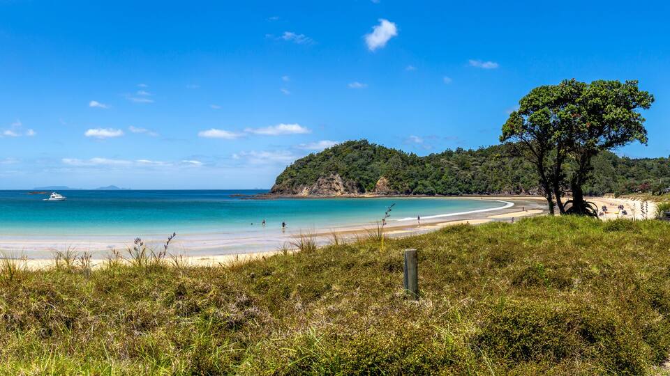 A beach with clear turquoise water, sandy shores, and lush green hills in the background.