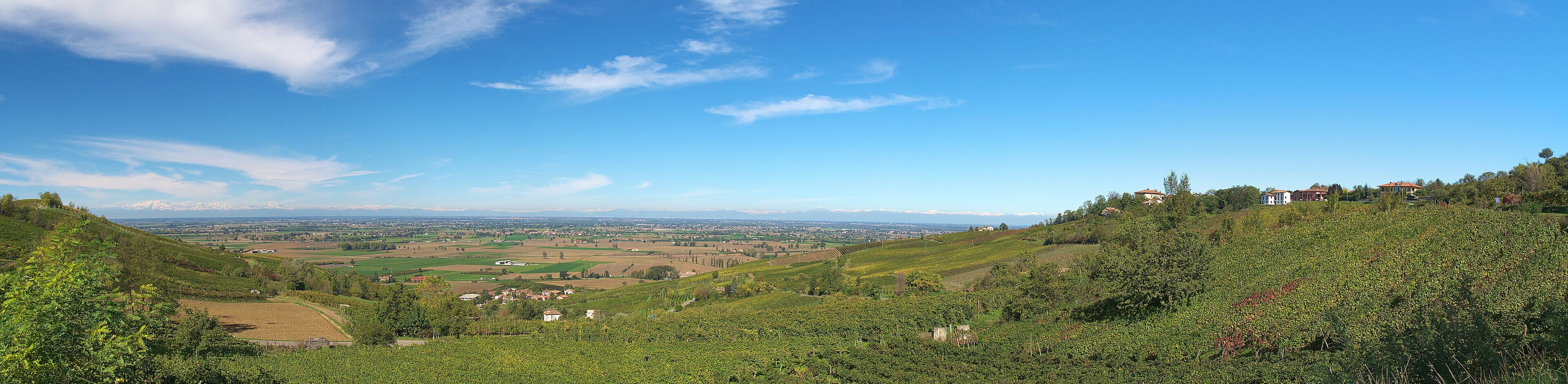A vineyard landscape with rolling hills, a distant town, and snow-capped mountains in the background.