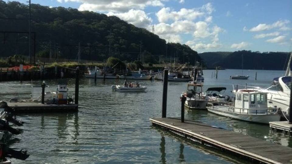 A marina with boats docked, a dock extending into calm water, and a forested hill in the background.