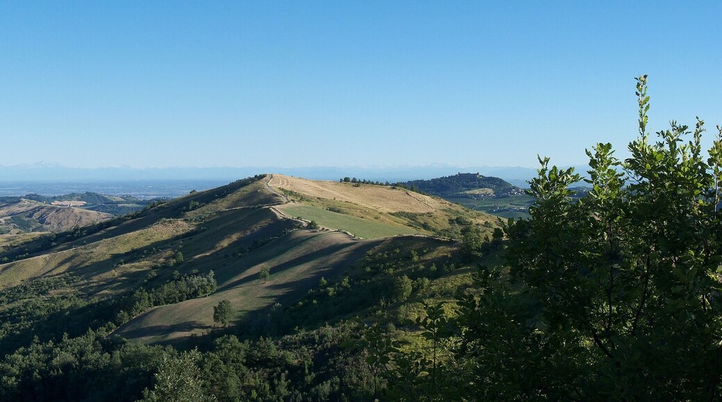 dalla Rivazza a Montalto Pavese