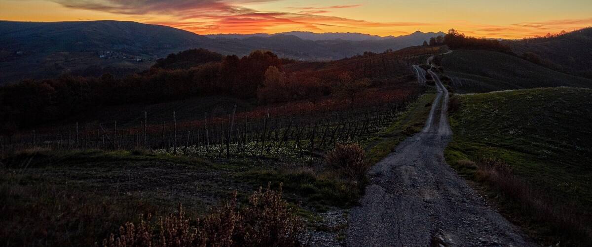 La strada della Costa Pelata, alba