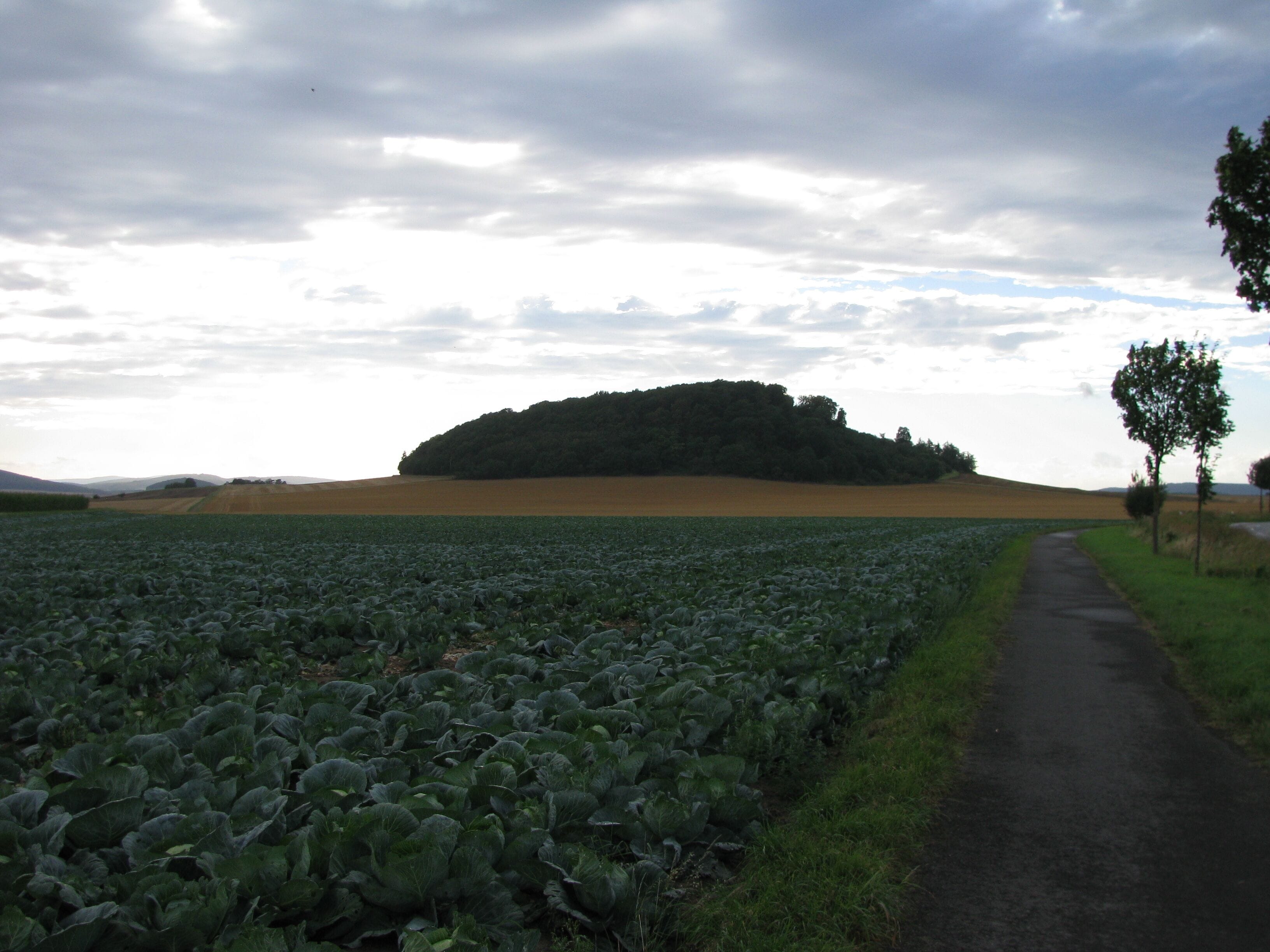 der Berg Nenkel zwischen Gleichen und Gudensberg