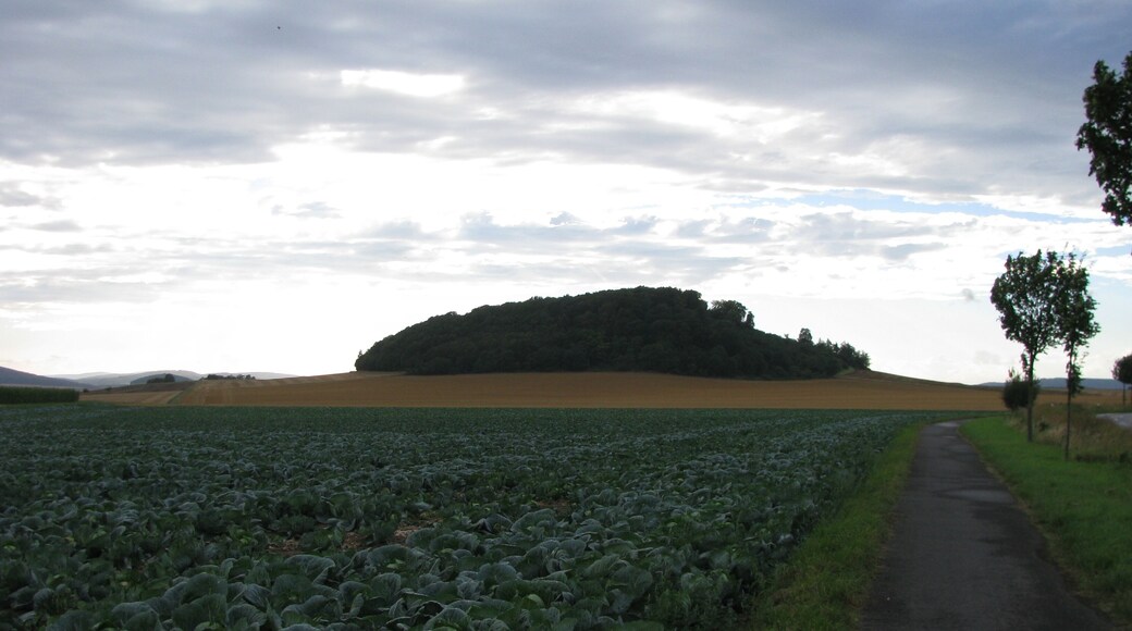 der Berg Nenkel zwischen Gleichen und Gudensberg