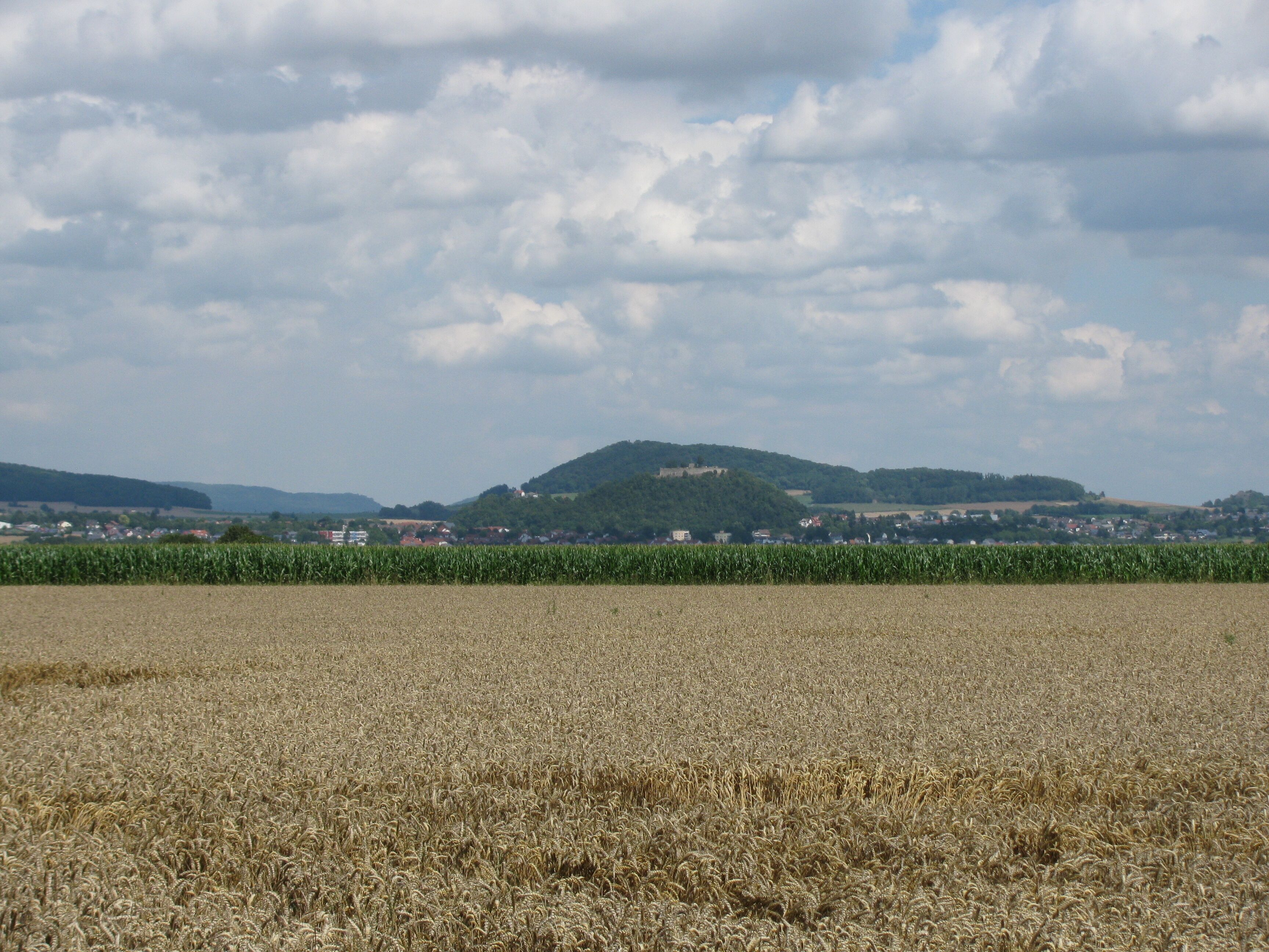 Blick vom Oberstes Holz nach Norden auf den Schlossberg von Gudensberg