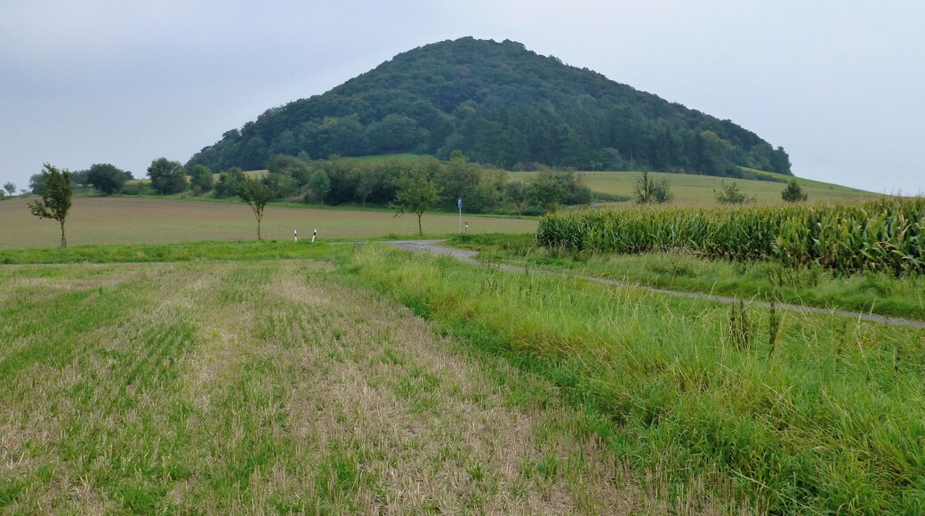 Odenberg; Westnordwestansicht von einem Feld nahe der Landesstraße 3221 zwischen Gudensberg und Besse