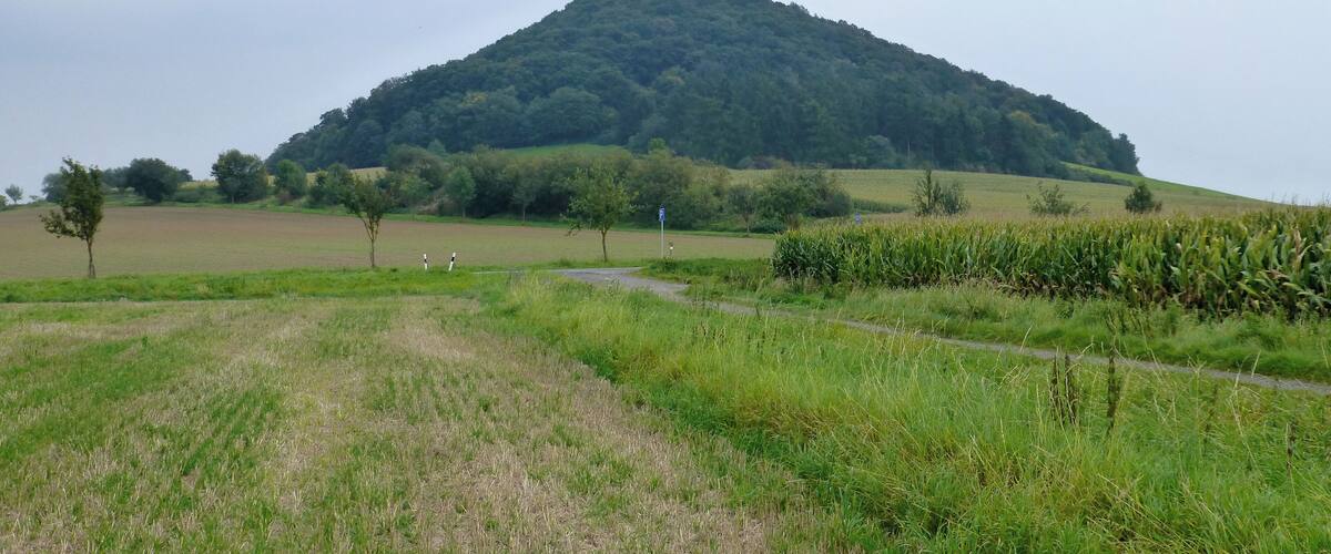 A hilly landscape with a forested hill, open fields, and a cornfield.