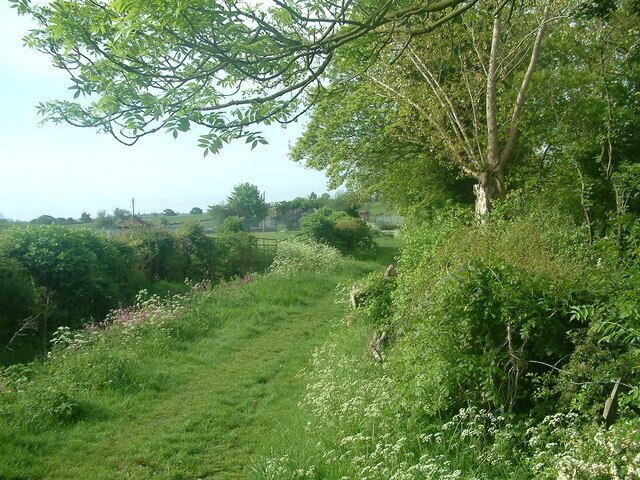 Track/footpath to sewage works Looking towards the Sewage works along the footpath after coming down the track from Abbots Bromley.
