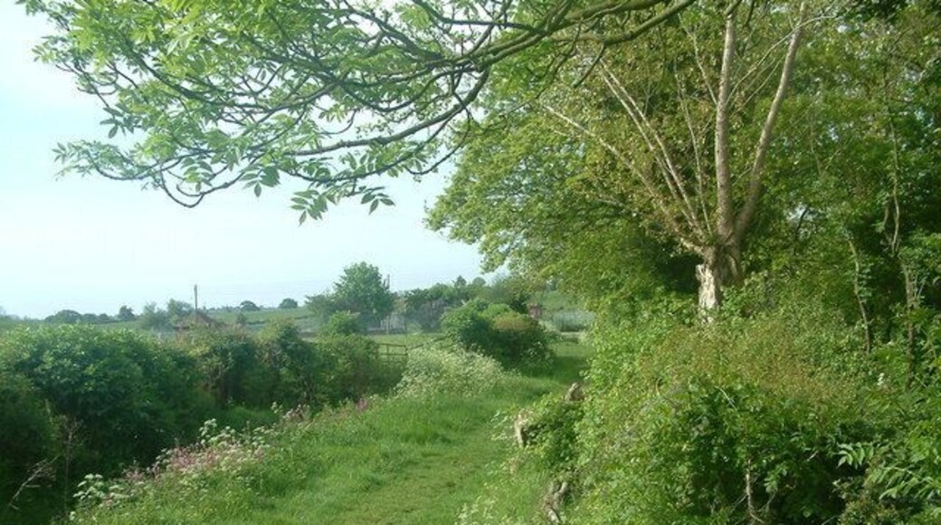 Track/footpath to sewage works Looking towards the Sewage works along the footpath after coming down the track from Abbots Bromley.