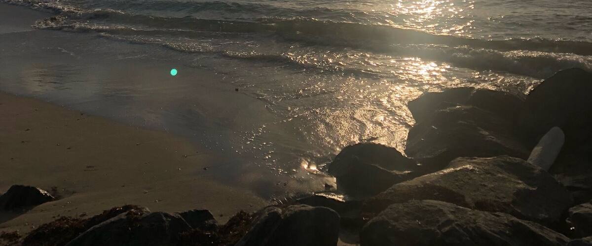 Morning Run