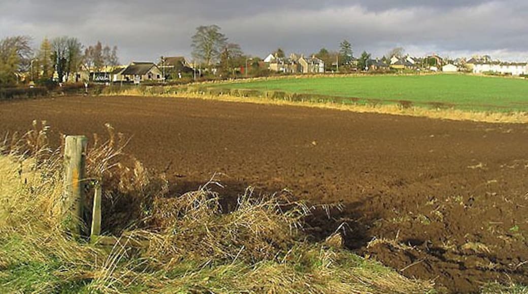 Farmland at Heiton Viewed from the A698 at the southern edge of the village.
