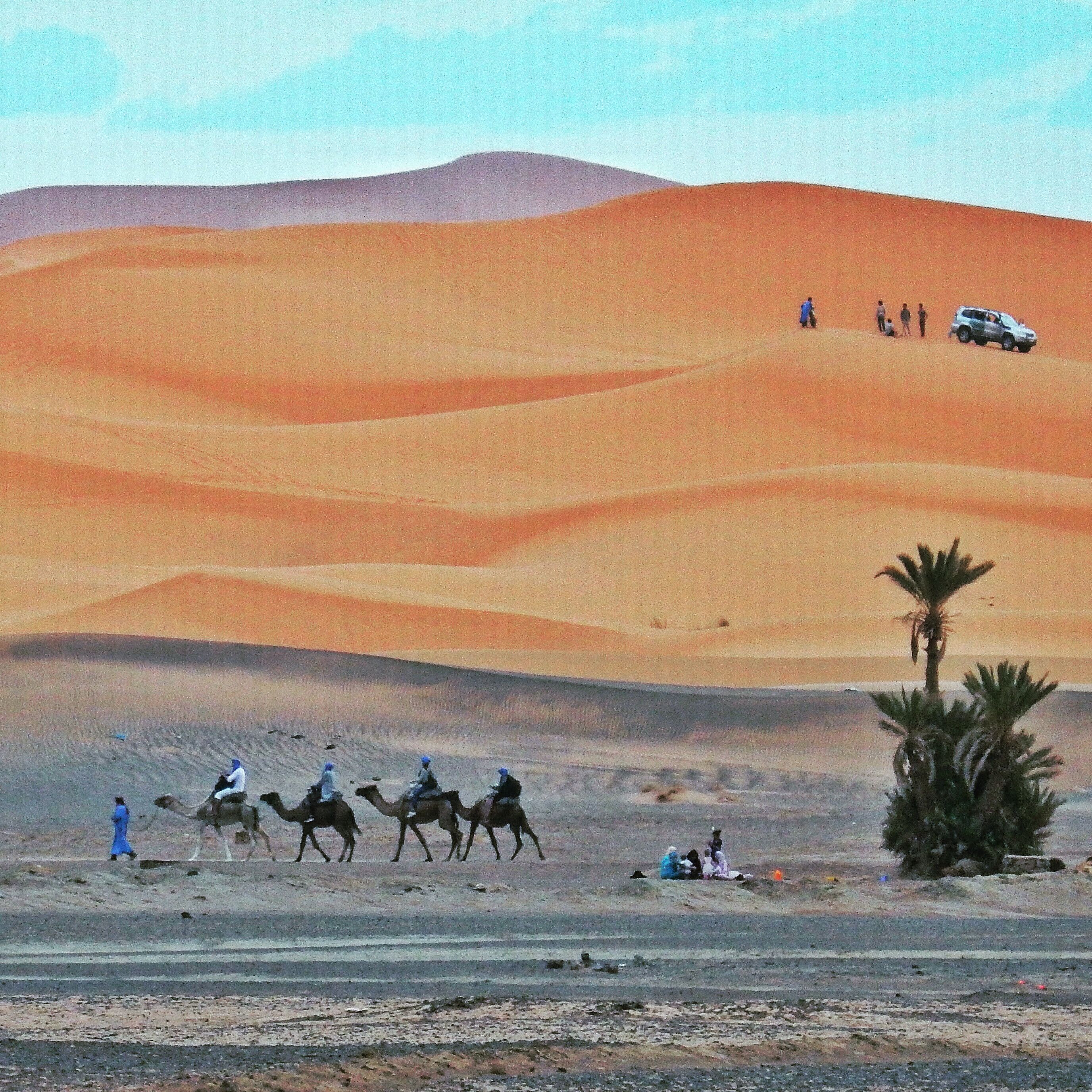 Where the black desert and the dunes of the Sahara meet.