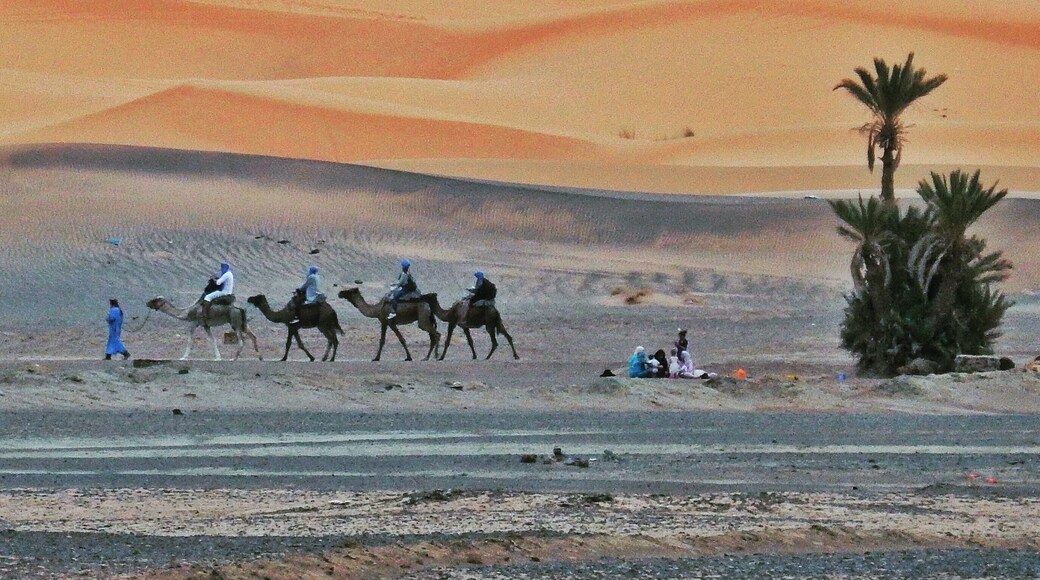 Where the black desert and the dunes of the Sahara meet.